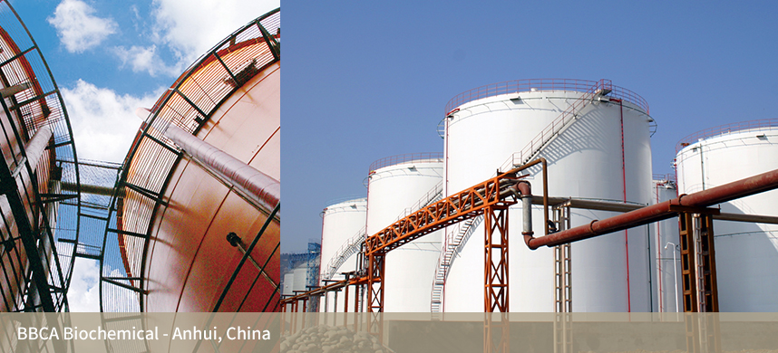 ������(�й�)��վ-AG�콢��