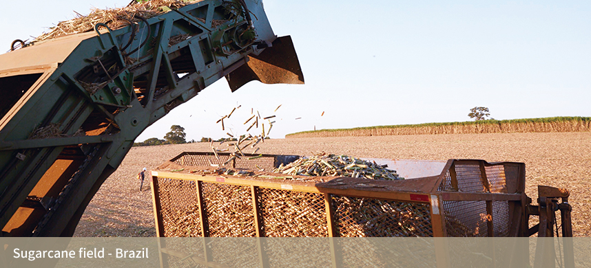 ������(�й�)��վ-AG�콢��