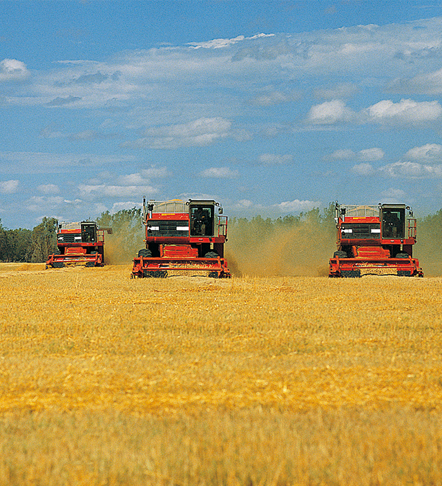 ������(�й�)��վ-AG�콢��