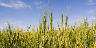 ������(�й�)��վ-AG�콢��